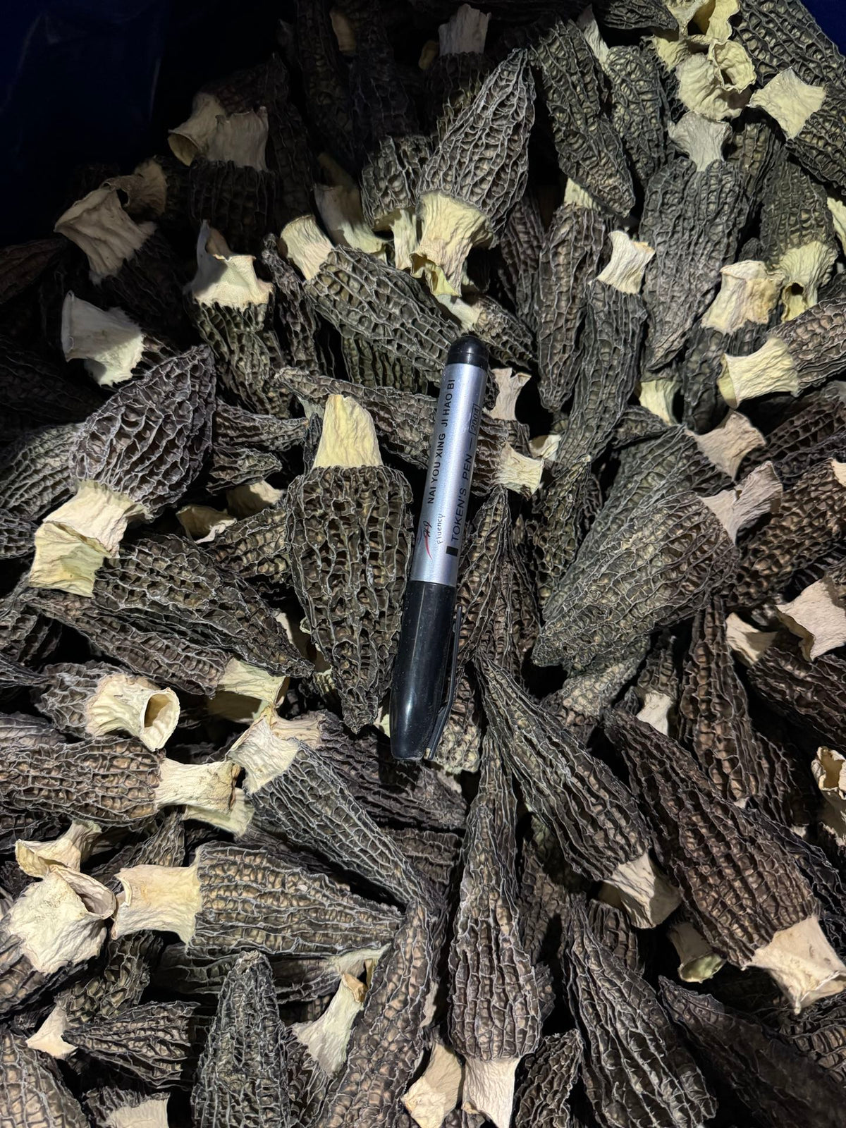 干羊肚菌（中号）半磅装