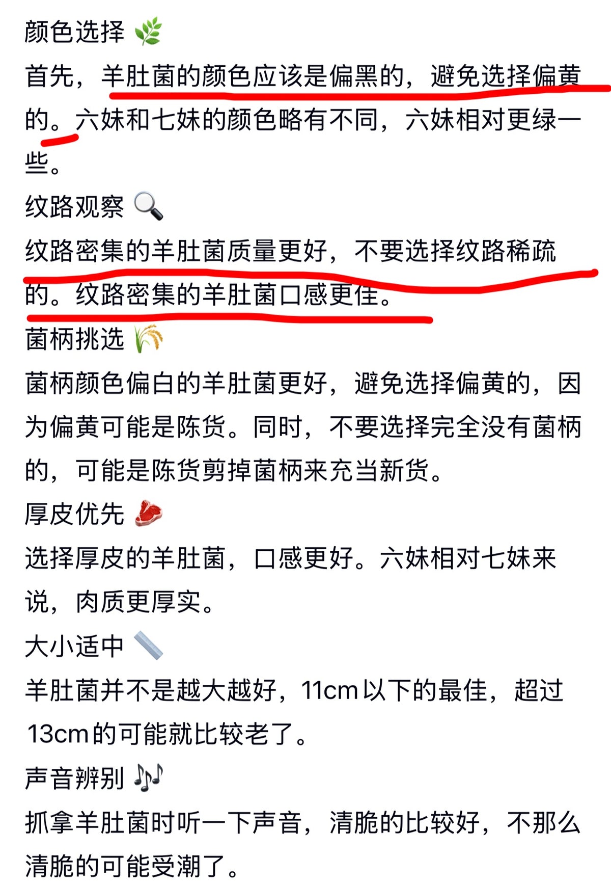 干羊肚菌（中号）半磅装