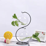 Special Offer: Glass Hydroponic DIY Gardening Vase [Toronto Area Delivery Only]