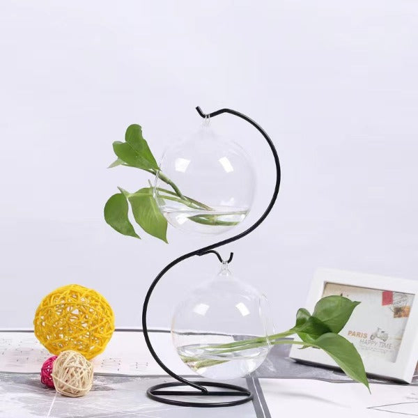 Special Offer: Glass Hydroponic DIY Gardening Vase [Toronto Area Delivery Only]
