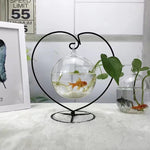 Special Offer: Glass Hydroponic DIY Gardening Vase [Toronto Area Delivery Only]