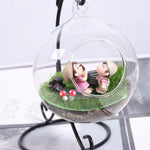 Special Offer: Glass Hydroponic DIY Gardening Vase [Toronto Area Delivery Only]