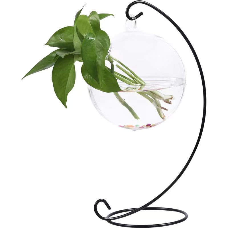 Special Offer: Glass Hydroponic DIY Gardening Vase [Toronto Area Delivery Only]