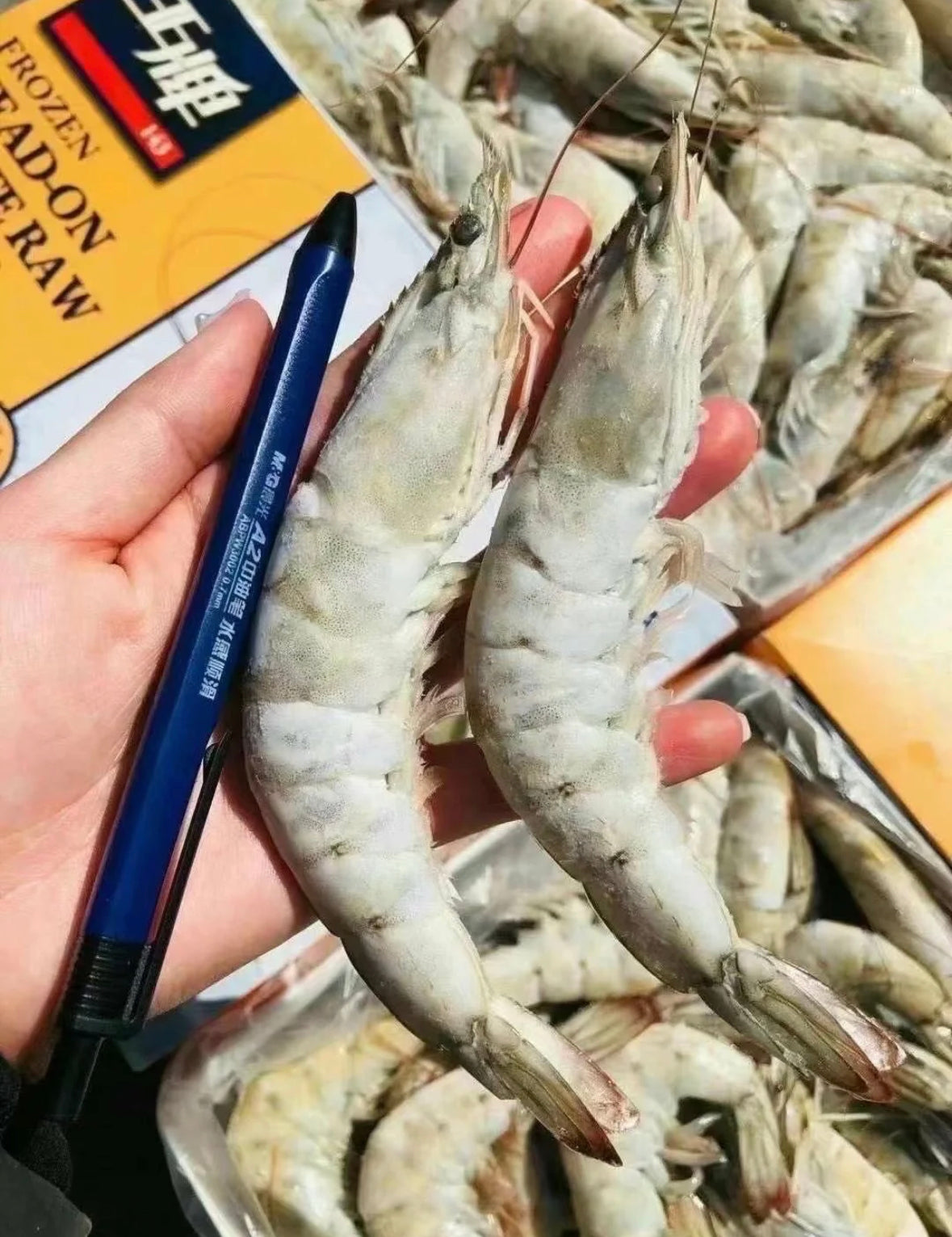 大号王牌虾 20-30/30-40 约4lb*盒