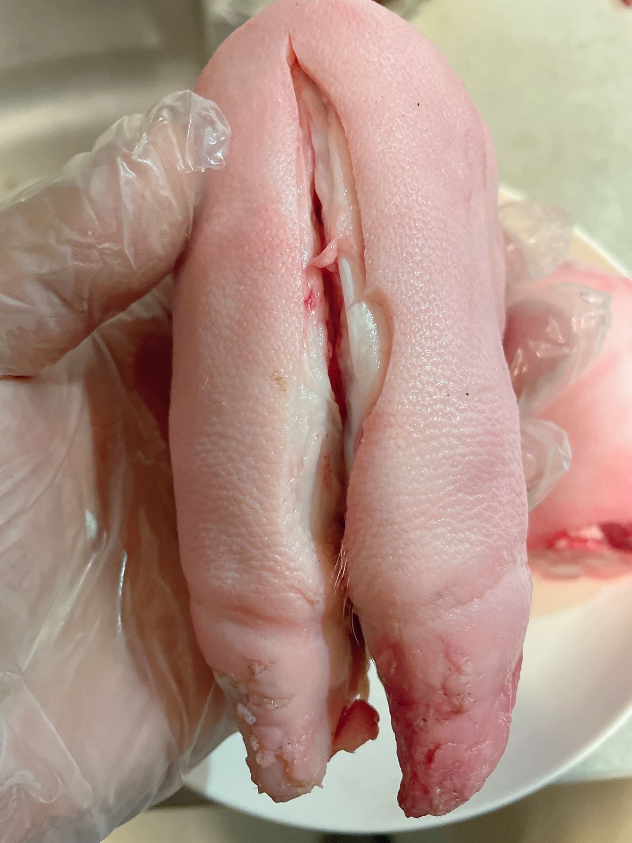 Full Natural Pork Hock 5LB